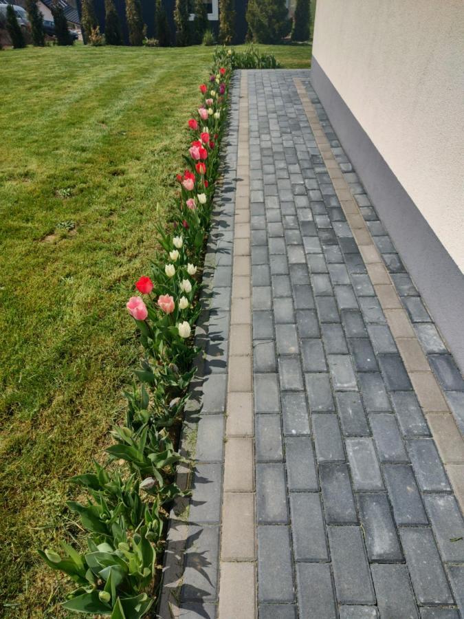Domek Letniskowy Elizjum Myczków Exterior foto